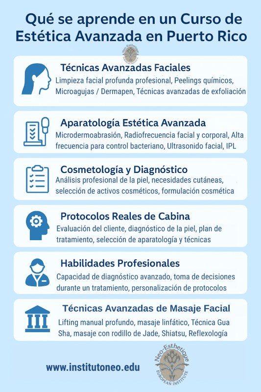 infografia con disciplinas qué se aprenden en un curso de estética avanzada en Puerto Rico 