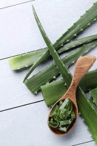 aloe vera en cosmética botánica